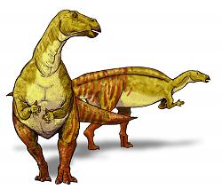        







  Nanyangosaurus_dinosaur.jpg  



   15  



  164.1    



	 1542923