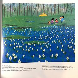        







  A Taiji Harada Book_24 Skunk Cabbages.jpg  



   658  



  997.3    



	 2260140