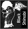     Black Shinobi