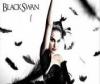     Black Swan